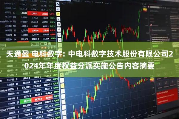 天通盈 电科数字: 中电科数字技术股份有限公司2024年年度权益分派实施公告内容摘要