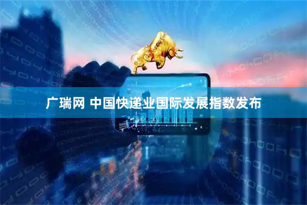 广瑞网 中国快递业国际发展指数发布