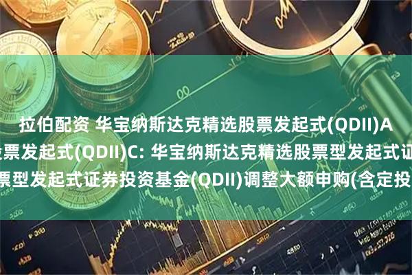 拉伯配资 华宝纳斯达克精选股票发起式(QDII)A,华宝纳斯达克精选股票发起式(QDII)C: 华宝纳斯达克精选股票型发起式证券投资基金(QDII)调整大额申购(含定投)金额上限的公告