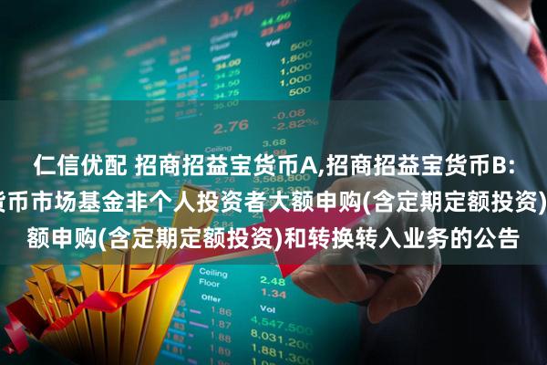 仁信优配 招商招益宝货币A,招商招益宝货币B: 关于调整招商招益宝货币市场基金非个人投资者大额申购(含定期定额投资)和转换转入业务的公告