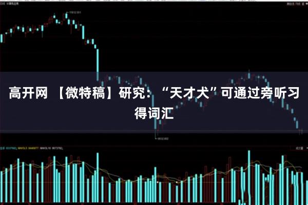 高开网 【微特稿】研究：“天才犬”可通过旁听习得词汇