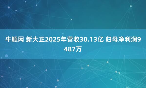 牛顺网 新大正2025年营收30.13亿 归母净利润9487万