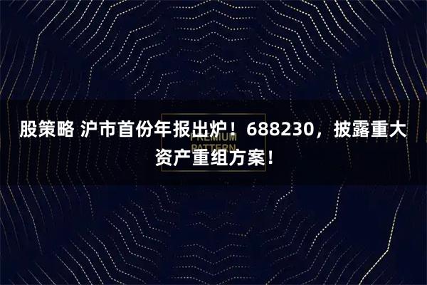 股策略 沪市首份年报出炉！688230，披露重大资产重组方案！
