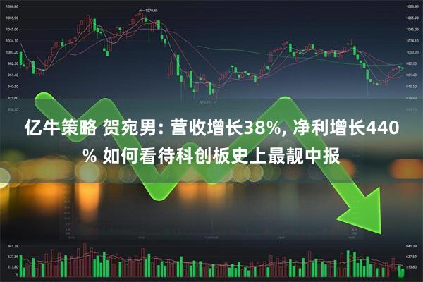 亿牛策略 贺宛男: 营收增长38%, 净利增长440% 如何看待科创板史上最靓中报